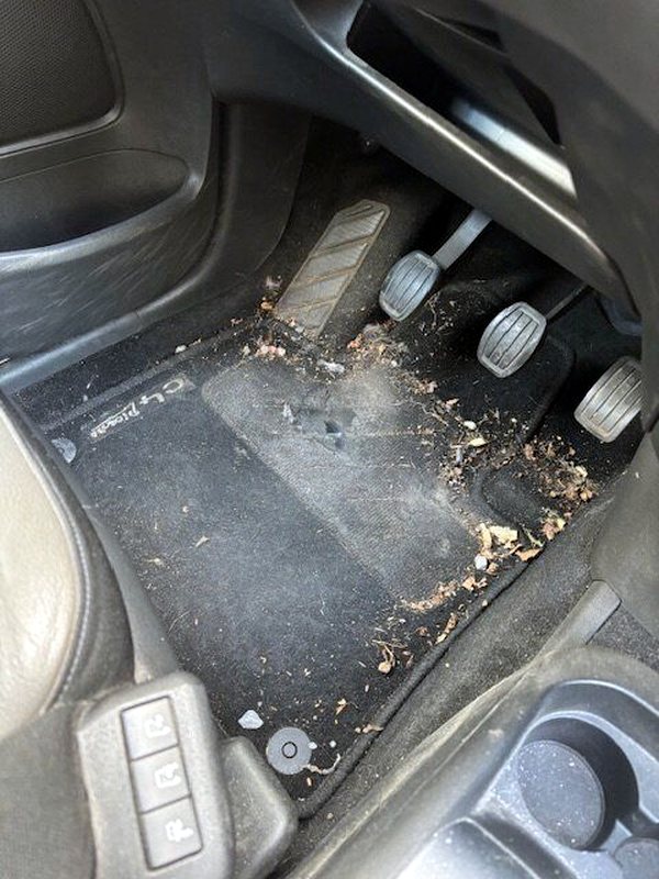 Citroën C4 Picasso · tapis avant avant nettoyage